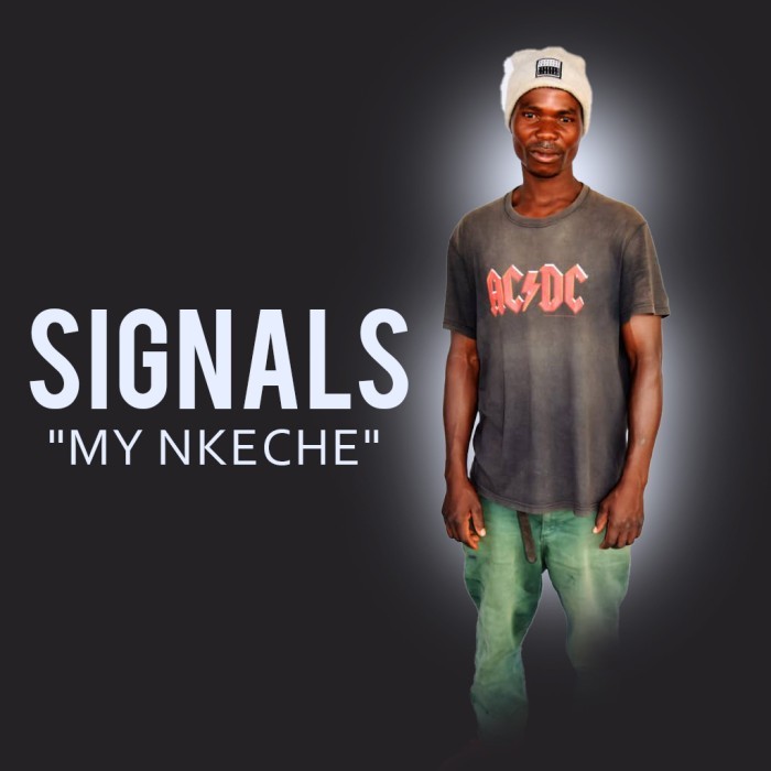 Song Cover